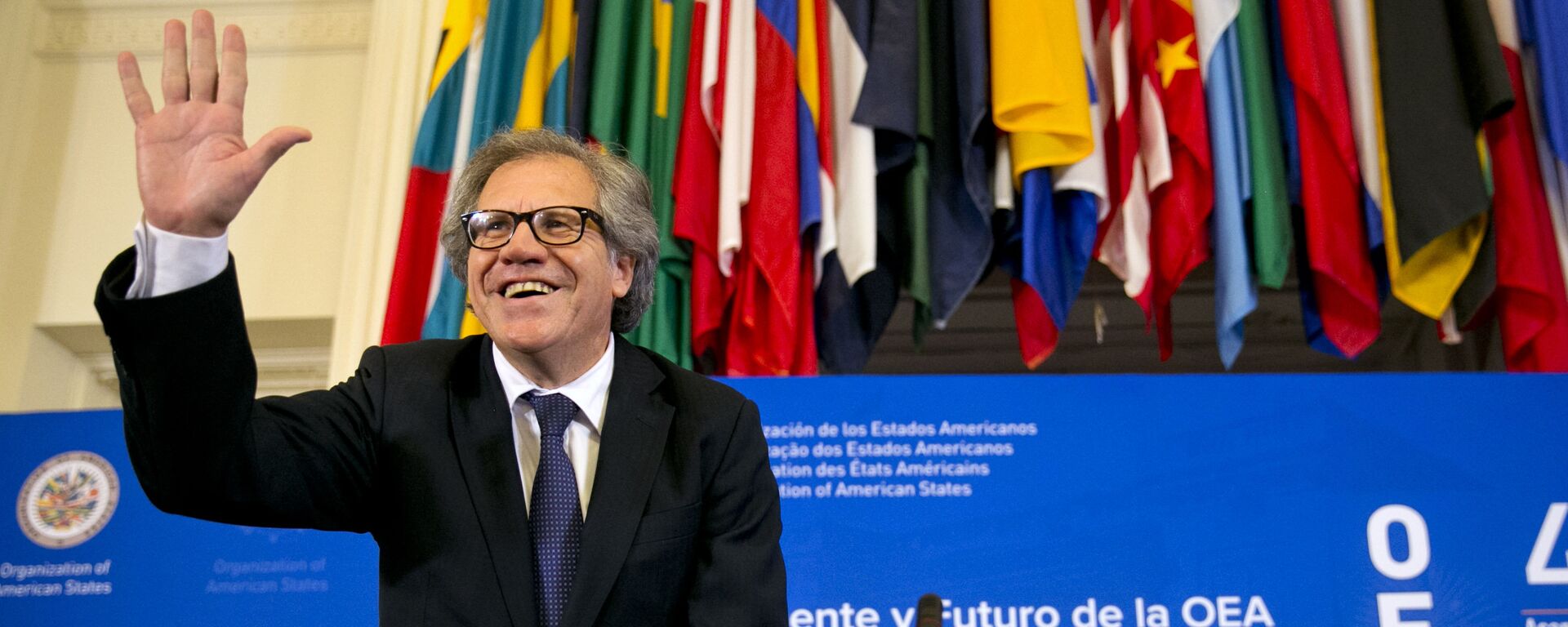 The new Organization of American States (OAS) Secretary General, former Uruguay Foreign Minister Luis Almagro, waves at the start of the general assembly's inaugural session in the Hall of the Americas, Monday June 15, 2015, at the OAS in Washington - Sputnik Mundo, 1920, 05.06.2021