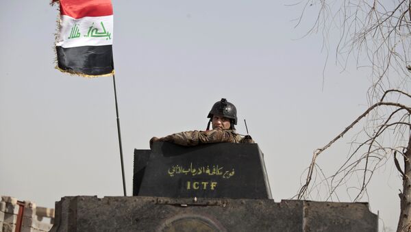 Militar iraquí durante la ofensiva para liberar la ciudad de Faluya - Sputnik Mundo