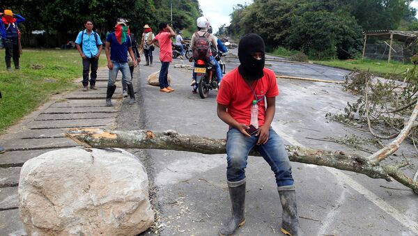 Indigenous people protest against the goverment, demanding land reform and increased state spending in rural areas, at the Panamerican highway in Mondomo, Cauca, Colombia - Sputnik Mundo