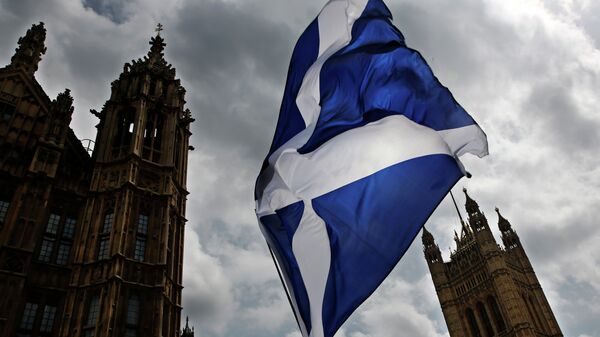 A member of public flies a giant Scottish Saltire flag outside the Houses of Parliament shortly before Scotland First Minister Nicola Sturgeon posed with newly-elected Scottish National Party (SNP) MPs during a photocall in London on May 11, 2015 - Sputnik Mundo