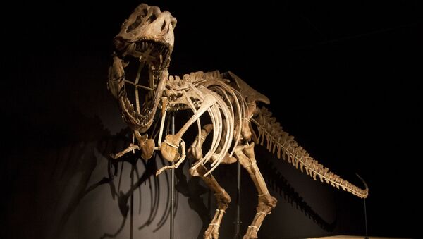 Esqueleto de un dinosaurio - Sputnik Mundo