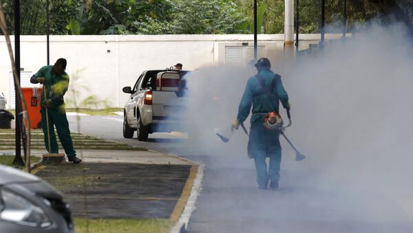 La lucha contra el virus Zika en Río de Janeiro - Sputnik Mundo