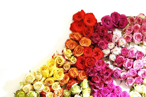 Las flores de Ecuador Las flores de Ecuador - Sputnik Mundo