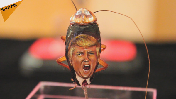 Un artista pintó el rostro de Donald Trump sobre cucarachas como protesta contra la discriminación y la violencia. - Sputnik Mundo