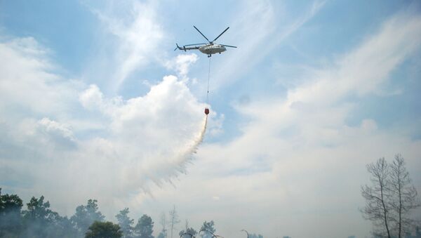 Incendios en Riau, Indonesia - Sputnik Mundo