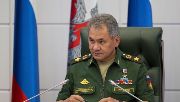 El ministro de Defensa de Rusia, Serguéi Shoigú - Sputnik Mundo