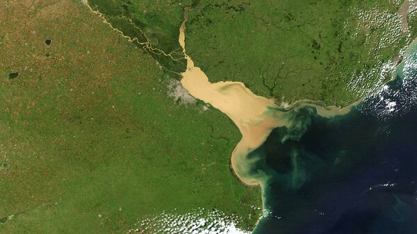 Vista satelital del río Paraná - Sputnik Mundo