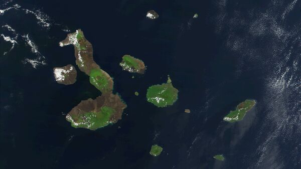 Las Islas Galápagos - Sputnik Mundo