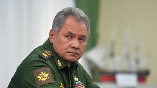Serguéi Shoigú, ministro de Defensa de Rusia - Sputnik Mundo