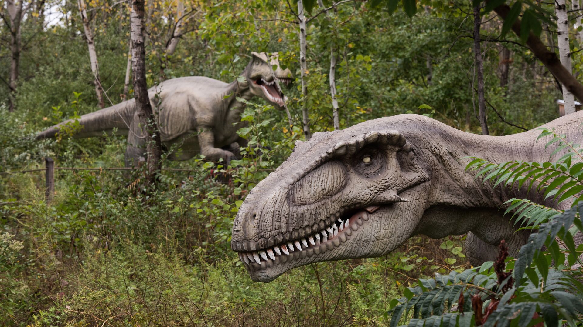 Life-sized animatronic dinosaurs are seen at Field Station: Dinosaurs, a 20-acre outdoor Jurassic learning expedition and family tourist attraction in Secaucus, N.J. on Thursday, Sept. 25, 2014 Life-sized animatronic dinosaurs are seen at Field Station: Dinosaurs, a 20-acre outdoor Jurassic learning expedition and family tourist attraction in Secaucus, N.J. on Thursday, Sept. 25, 2014 - Sputnik Mundo, 1920, 02.07.2021