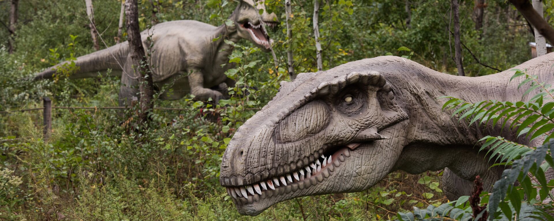 Life-sized animatronic dinosaurs are seen at Field Station: Dinosaurs, a 20-acre outdoor Jurassic learning expedition and family tourist attraction in Secaucus, N.J. on Thursday, Sept. 25, 2014 - Sputnik Mundo, 1920, 02.07.2021