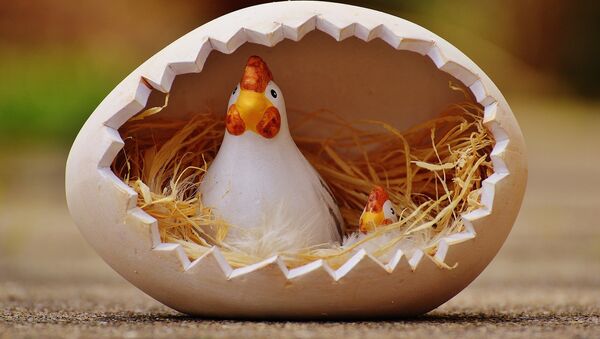 Una gallina dentro de un huevo (ilustración) - Sputnik Mundo
