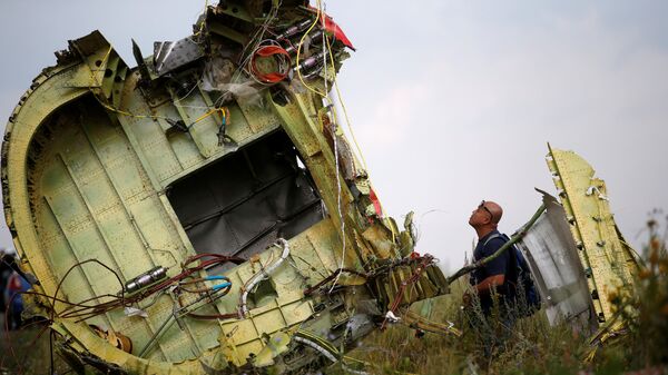 Malaysian air crash investigator inspects crash site of Malaysia Airlines Flight MH17 near Hrabove - Sputnik Mundo