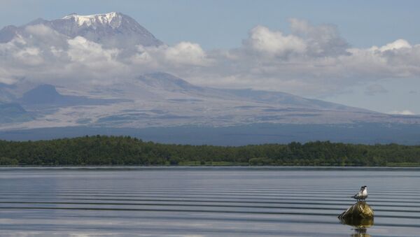 El volcán Shiveluch, situado en la península rusa de Kamchatka - Sputnik Mundo