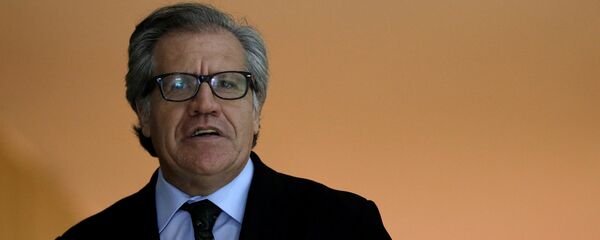 Luis Almagro, secretario general de la OEA Luis Almagro, secretario general de la OEA - Sputnik Mundo
