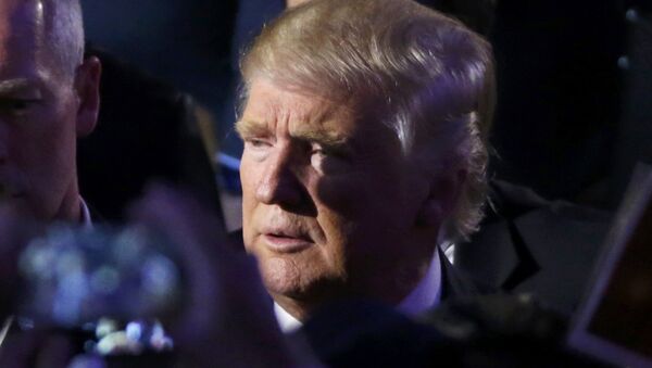 Donald Trump, el ganador de las elecciones presidenciales en EEUU - Sputnik Mundo