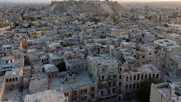 Alepo, Siria con la Ciudadela al fondo (archivo) - Sputnik Mundo