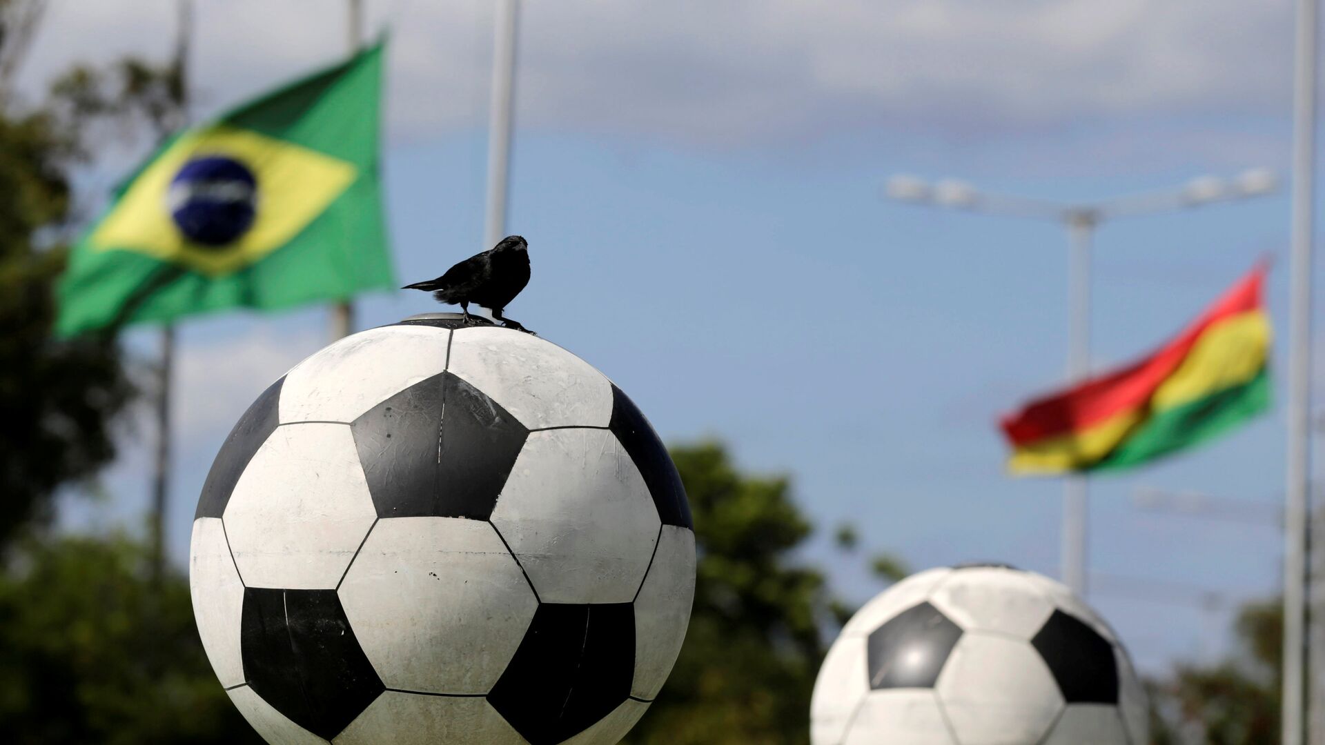 A bird sits on a ball in front of flags of Brazil and member countries of the South American Soccer Confederation (CONMEBOL) at half staff, paying tribute to members of Chapecoense soccer team in a plane crash in Colombia, in front of the headquarters in Luque, Paraguay - Sputnik Mundo, 1920, 24.08.2021