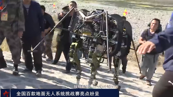 Las bestias robots chinas de combate - Sputnik Mundo