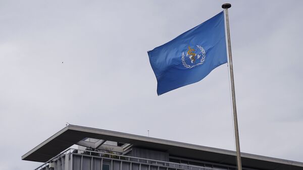 General view of the World Health Organization (WHO) headquarters in Geneva, Switzerland, February 1, 2016 - Sputnik Mundo