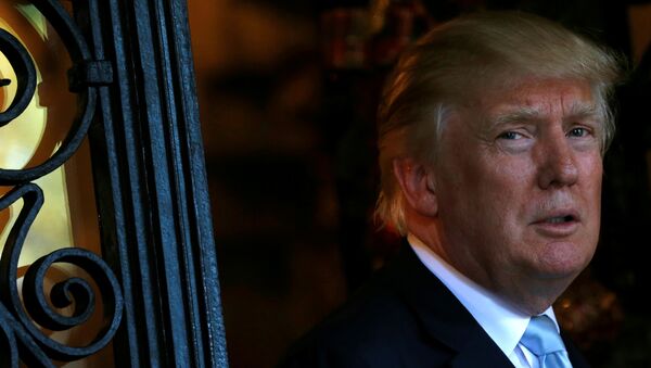 Donald Trump, presidente electo de EEUU - Sputnik Mundo