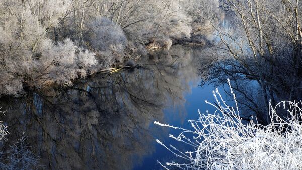 Frozen trees are seen on the banks of the Pisuerga river in Santovenia de Pisuerga, Spain - Sputnik Mundo