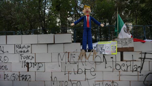 El muro de Trump de cartón y con lemas en su contra en la Ciudad de México - Sputnik Mundo
