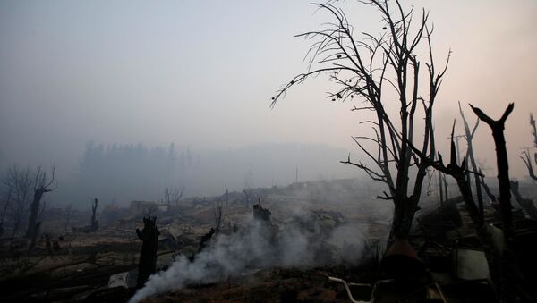 Incendio forestal en Chile (archivo) - Sputnik Mundo