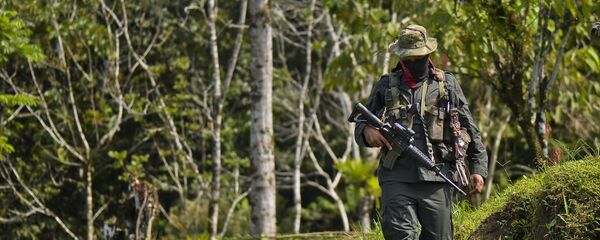 Un guerrillero de ELN Un guerrillero de ELN - Sputnik Mundo