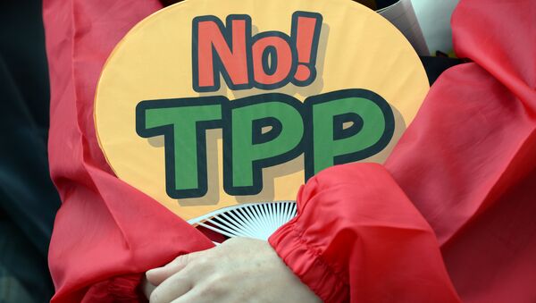 A demonstrator holds a fan with No! TPP in a protest against the Trans Pacific Partnership (TPP) trade deal at a sit-in demonstration in front of the parliament building in Tokyo - Sputnik Mundo