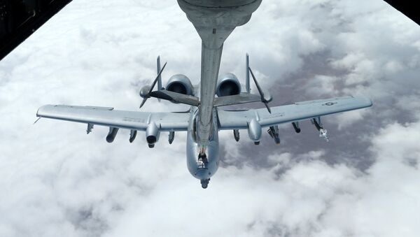 Caza estadounidense A-10 Thunderbolt-2 en Siria (archivo) - Sputnik Mundo
