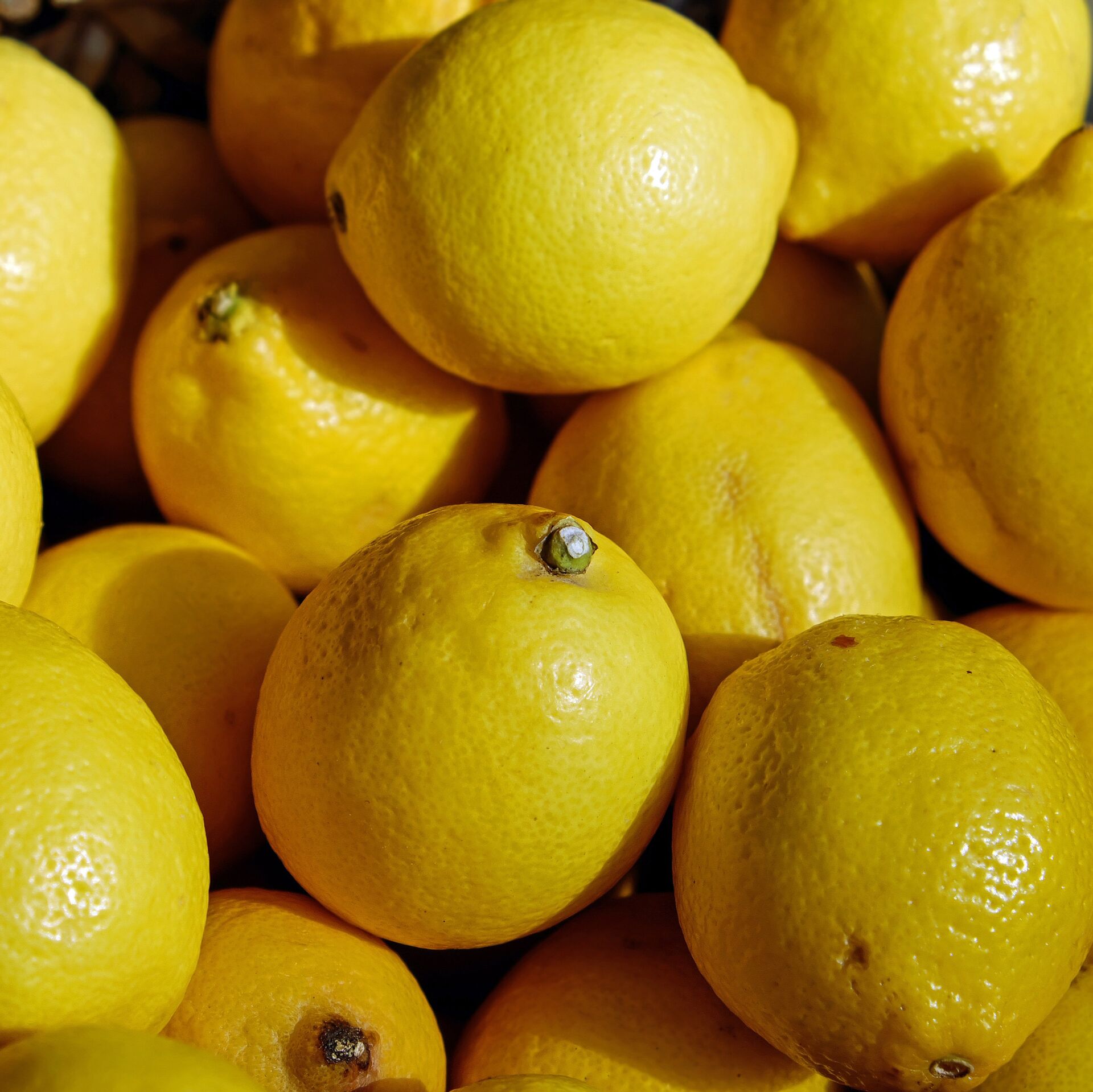 Цитрон цитрусовые. Лимон сорт ламас. Лимон-кислое-жёлтое. Экстракт лимона. Лимон.