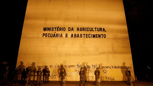 Ministerio de Agricultura de Brasil - Sputnik Mundo