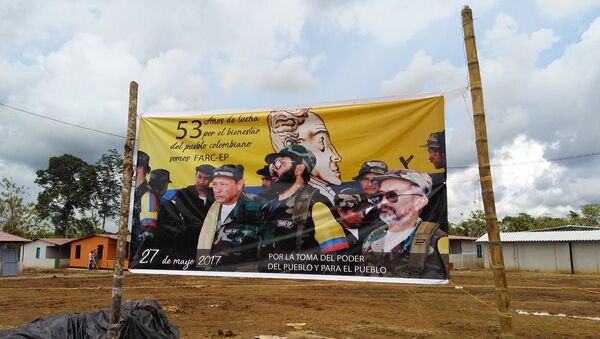 Banner del 53 aniversario de la lucha de FARC-EP - Sputnik Mundo