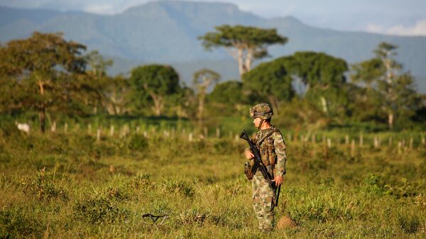 Un militar colombiano en una región ocupada por los guerrilleros de FARC - Sputnik Mundo