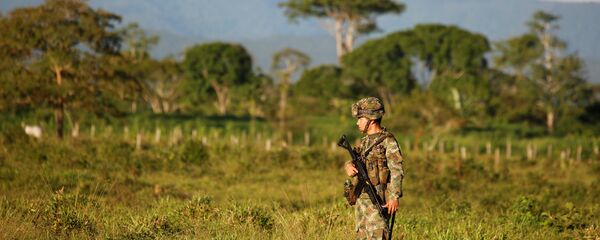 Un militar colombiano Un militar colombiano - Sputnik Mundo