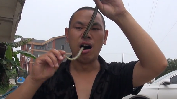 Impactante: maestro de kung fu se mete una serpiente por la nariz y la saca por la boca - Sputnik Mundo
