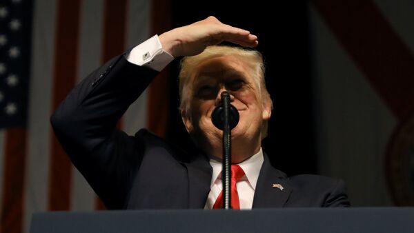 Donald Trump, presidente de EEUU - Sputnik Mundo