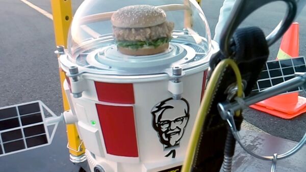 Hamburguesa de KFC vuela hacia la estratosfera - Sputnik Mundo