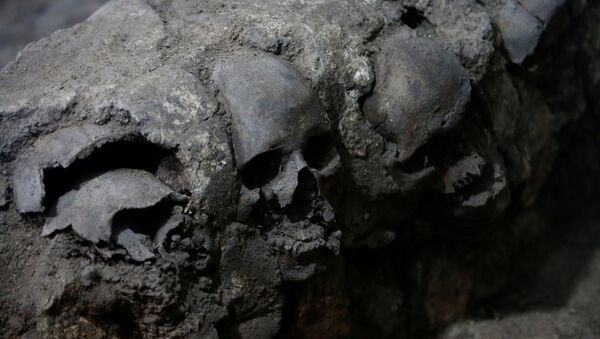 Fragmento de la torre de cráneos descubierta en Ciudad de México - Sputnik Mundo
