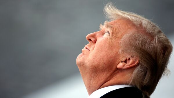 Donald Trump, presidente de Estados Unidos, mira hacia arriba - Sputnik Mundo