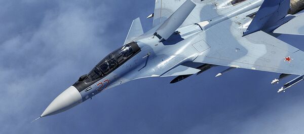 Avión de caza Su-30SM Avión de caza Su-30SM - Sputnik Mundo