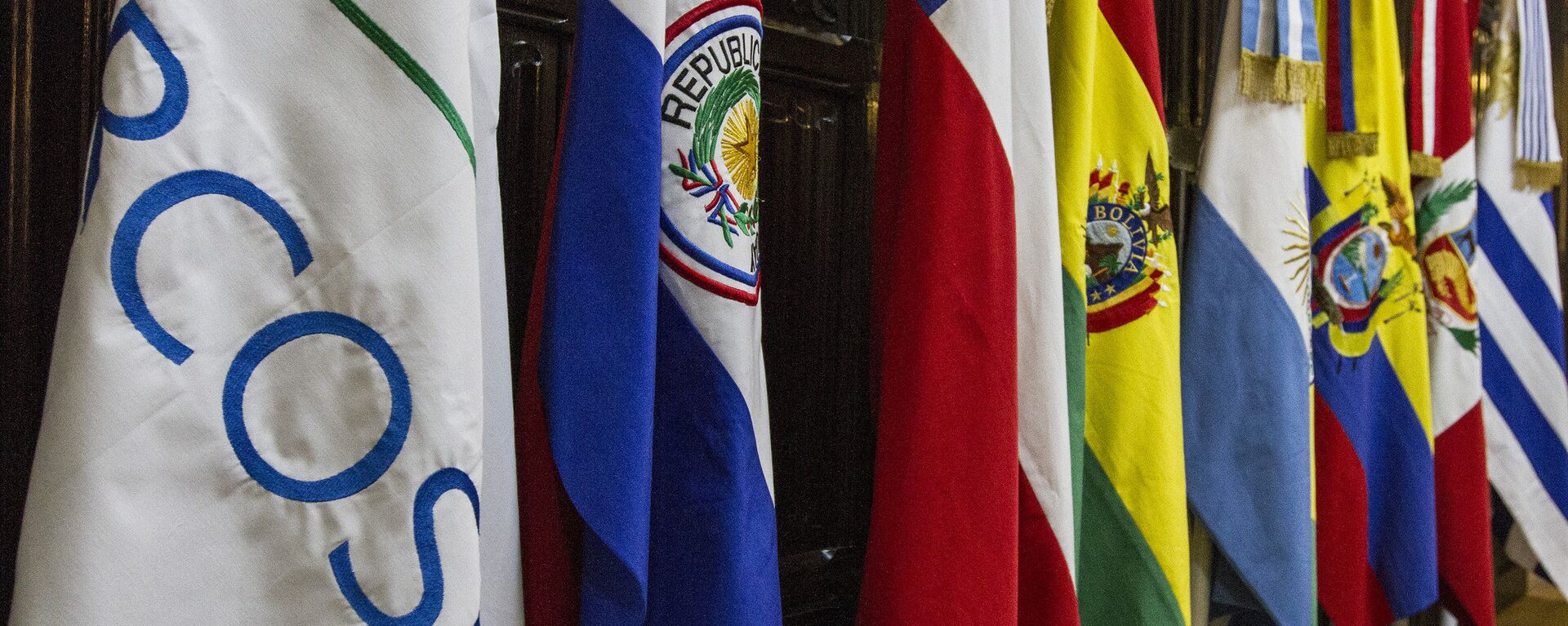 Banderas de los países miembros del Mercosur - Sputnik Mundo, 1920, 26.03.2021