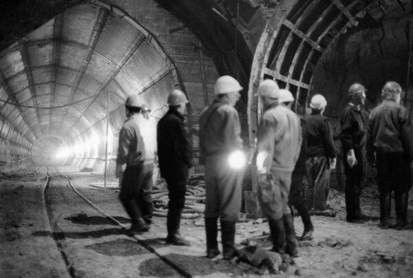Un grupo de físicos visita las obras del colisionador de protones Un grupo de físicos visita las obras del colisionador de protones - Sputnik Mundo