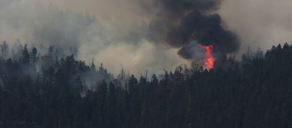 Incendios forestales en Canadá Incendios forestales en Canadá - Sputnik Mundo