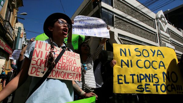 Protestas en Bolivia (archivo) - Sputnik Mundo