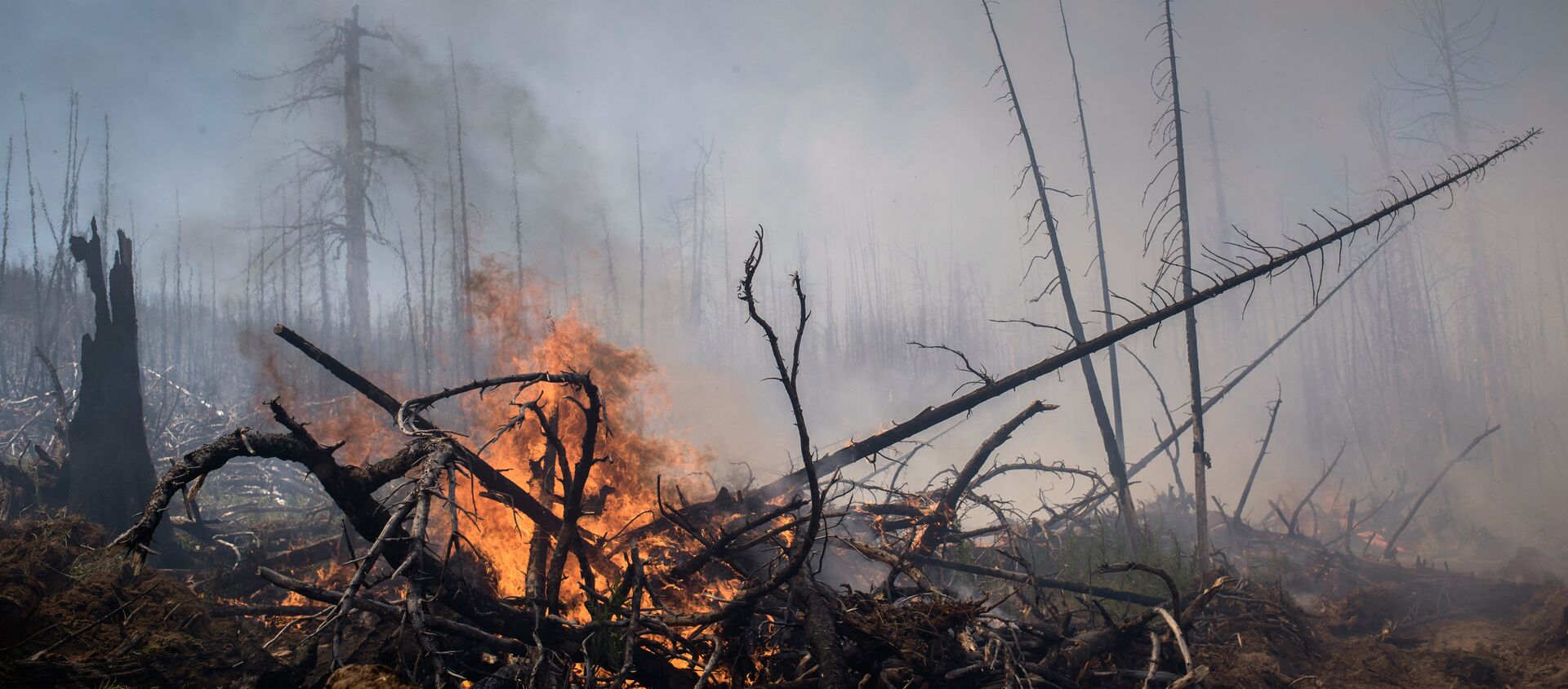 Incendios forestales en el Lejano Oriente ruso (archivo) - Sputnik Mundo, 1920, 08.08.2019