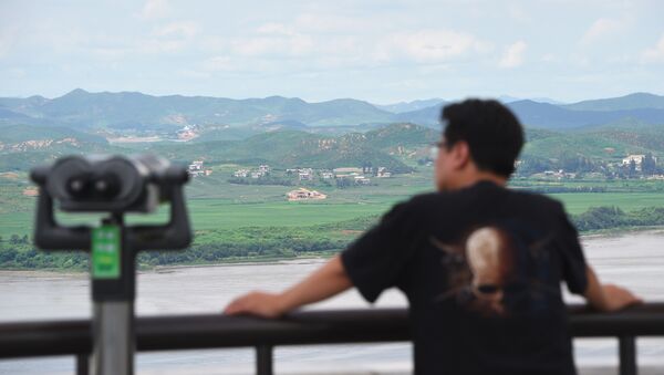 Un hombre en el punto de observación de Corea del Norte en Corea del Sur - Sputnik Mundo