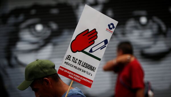 A man holds a placard during a protest with union workers and farmers as NAFTA renegotiation - Sputnik Mundo