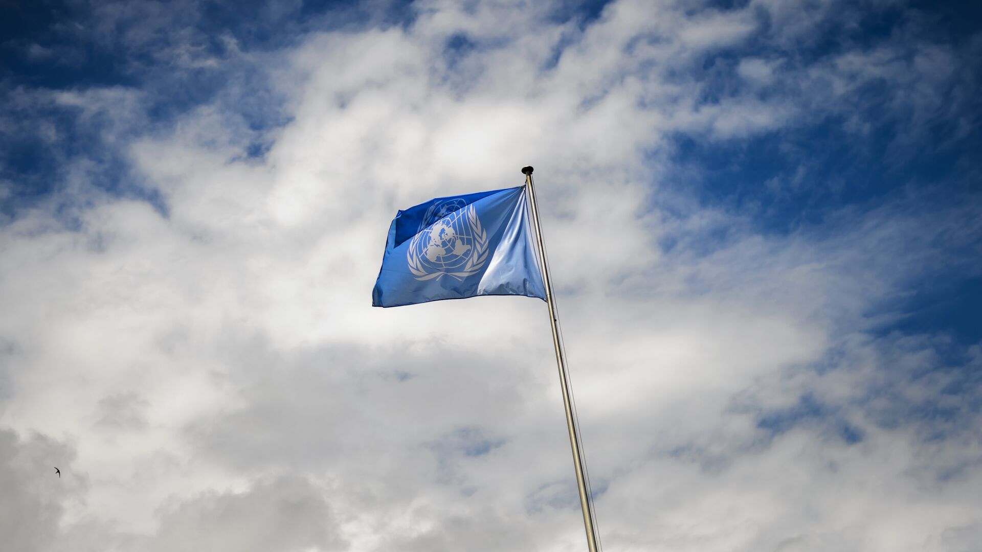 La bandera de la ONU - Sputnik Mundo, 1920, 13.04.2023